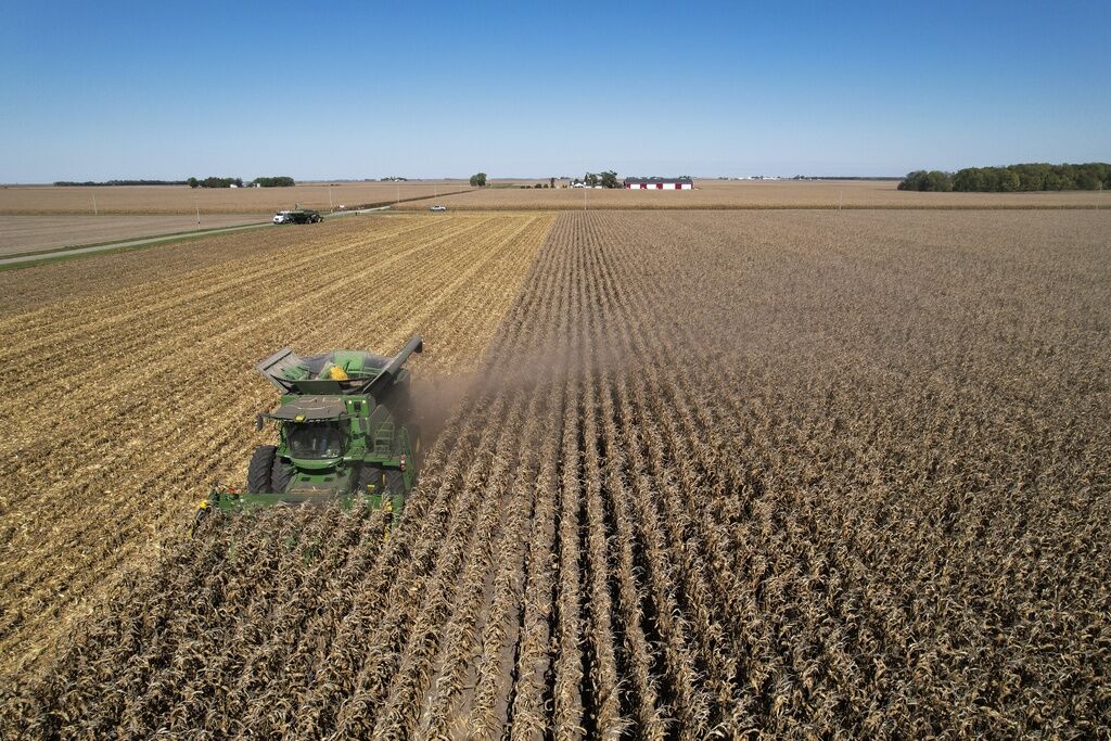 Illinois corn